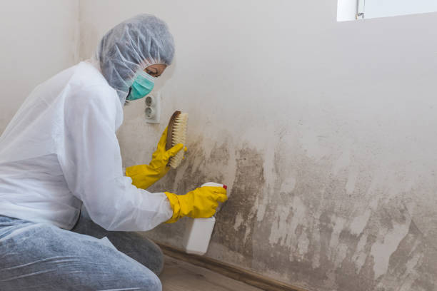 Best Crawl Space Mold Remediation  in Richlands, NC